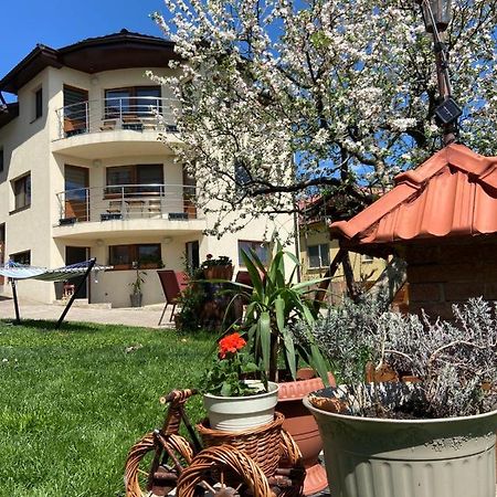 Casa Ana Cluj Daire Dış mekan fotoğraf