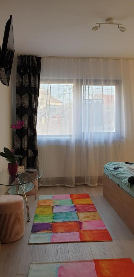Casa Ana Cluj Daire Dış mekan fotoğraf